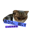 レオ様（個別スタンプ：1）