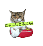レオ様（個別スタンプ：4）