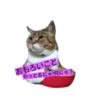 レオ様（個別スタンプ：5）