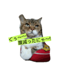 レオ様（個別スタンプ：6）