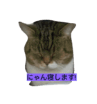レオ様（個別スタンプ：10）