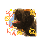 ジョージくん。（個別スタンプ：6）