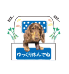 わんにゃんパークの日常会話（個別スタンプ：11）