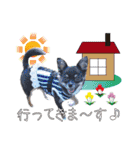わんにゃんパークの日常会話（個別スタンプ：17）