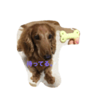 じゃじゃまる日和（個別スタンプ：1）