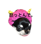 もずかぼスタイル 第2弾（個別スタンプ：1）
