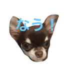 もずかぼスタイル 第2弾（個別スタンプ：7）
