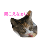 momomom（個別スタンプ：8）
