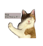 ニャンタ vol.2（個別スタンプ：3）