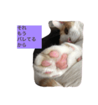 ニャンタ vol.2（個別スタンプ：6）