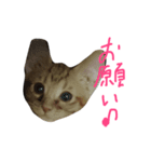 mero ＆ nil 2（個別スタンプ：6）