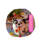 愛子弁当 love bento（個別スタンプ：7）