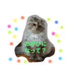 ころがる毎日（個別スタンプ：2）