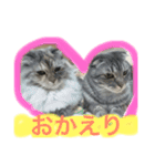 ころがる毎日（個別スタンプ：11）