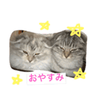 ころがる毎日（個別スタンプ：14）