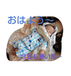 aochi01（個別スタンプ：7）