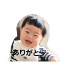 haruphotooo（個別スタンプ：2）