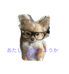 可愛い犬と姫うずら（個別スタンプ：3）