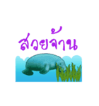 Dugong Trang（個別スタンプ：14）