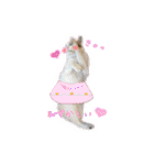 サバトラ白猫のしぐれちゃん（個別スタンプ：13）