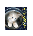 わたくんスタンプ（個別スタンプ：5）
