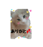 わたくんスタンプ（個別スタンプ：11）