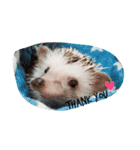 Harrystyle（個別スタンプ：1）