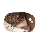 Harrystyle（個別スタンプ：3）