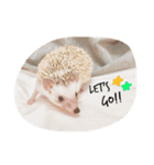 Harrystyle（個別スタンプ：5）
