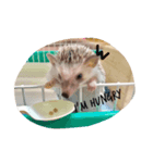 Harrystyle（個別スタンプ：7）