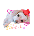 のあと日常（個別スタンプ：2）