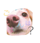 のあと日常（個別スタンプ：3）