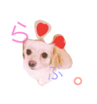 のあと日常（個別スタンプ：4）