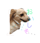 のあと日常（個別スタンプ：5）