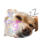 のあと日常（個別スタンプ：6）