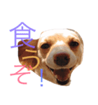 のあと日常（個別スタンプ：9）