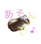 のあと日常（個別スタンプ：10）