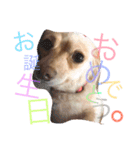 のあと日常（個別スタンプ：12）