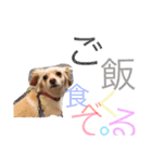 のあと日常（個別スタンプ：13）