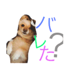 のあと日常（個別スタンプ：14）