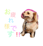 のあと日常（個別スタンプ：17）