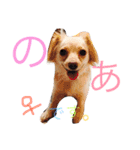 のあと日常（個別スタンプ：21）
