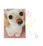 のあと日常（個別スタンプ：22）