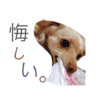 のあと日常（個別スタンプ：23）