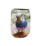 ハムスターとインコ PART4（個別スタンプ：4）