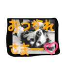 早川ミッキーくん。その2（個別スタンプ：7）