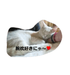 足長マンチカン三成の日常生活パート2（個別スタンプ：13）