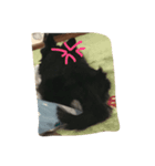 ここちゃんの日常。（個別スタンプ：3）