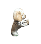 ichigo doggy（個別スタンプ：6）