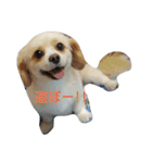 ichigo doggy（個別スタンプ：20）
